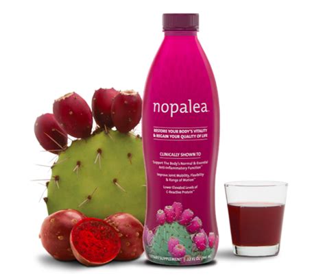 Reviews on nopalea  Its stem is cylindrical and the branches are flattened, fleshy and oval articlesfittings, popularly known as "Prickly Pear" and scientifically as "Opuntia ficus-indica"